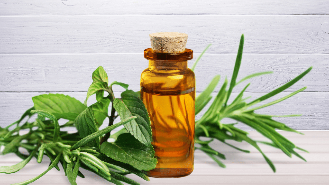 healing oil