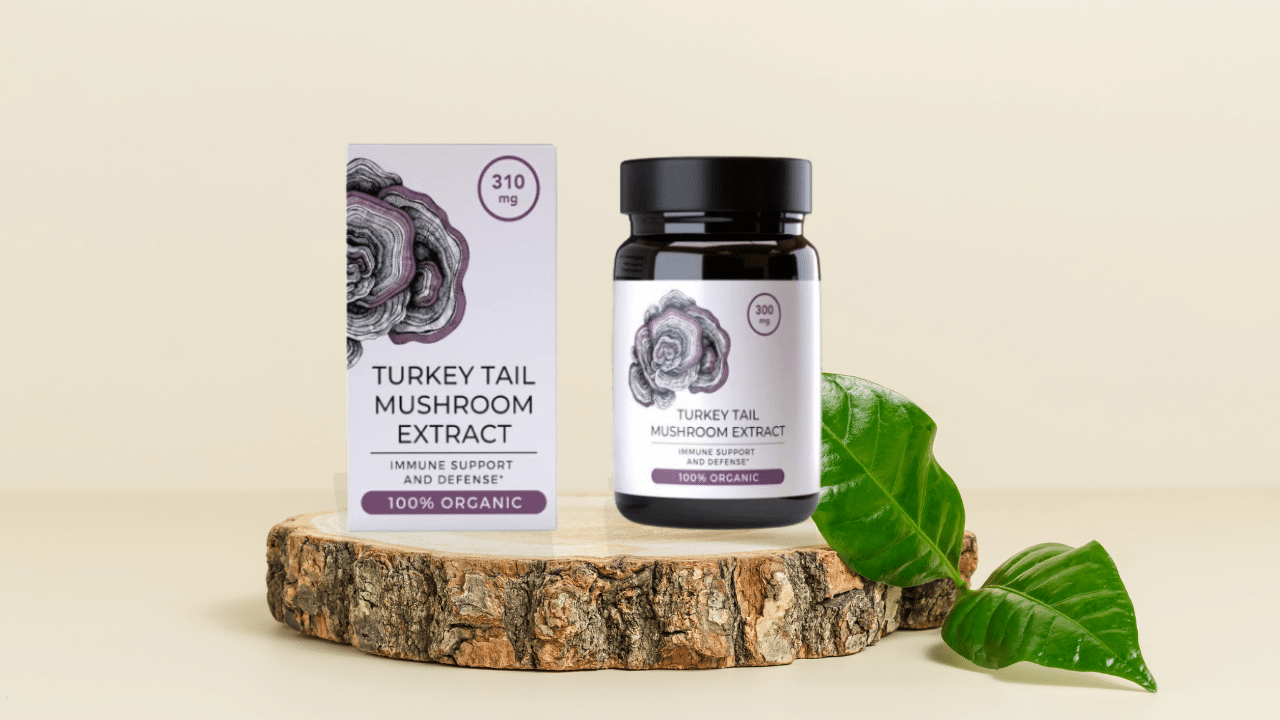 mushroom extracts