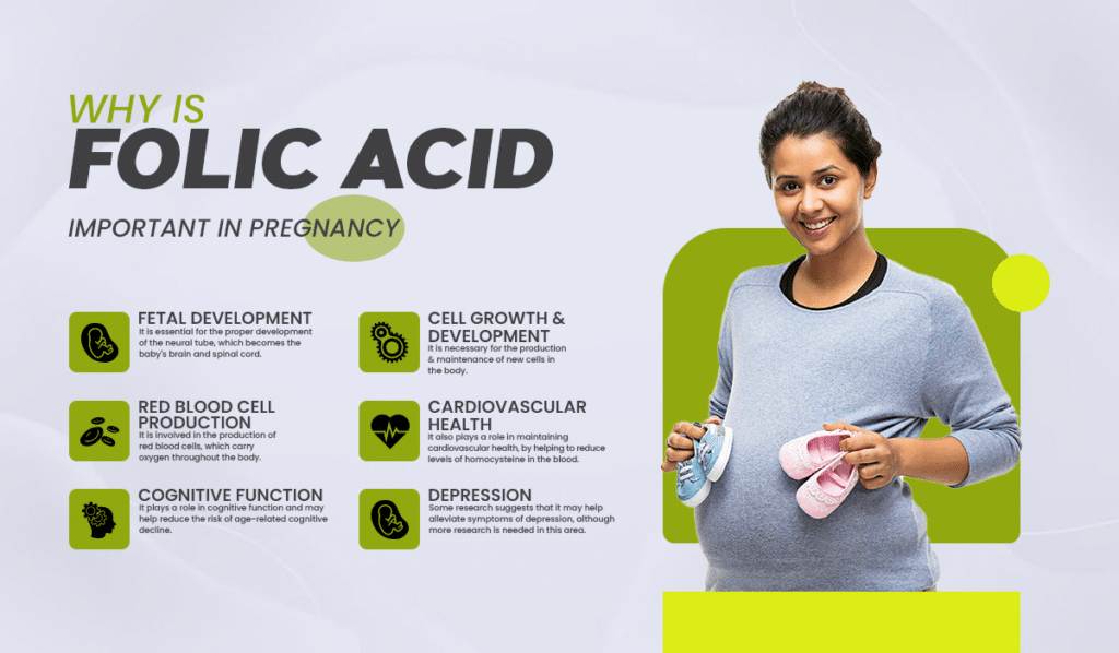 Folic acid and its role in preventing neural tube defects