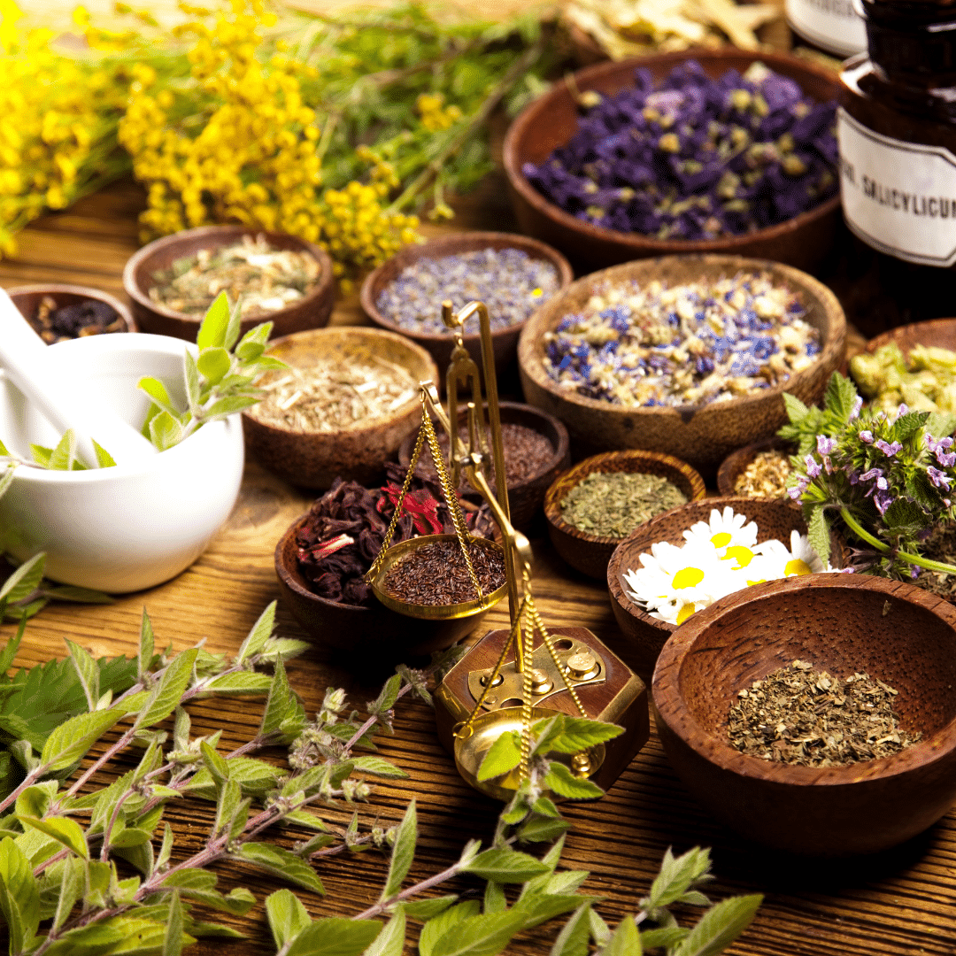 How to Use Traditional Medicinal Plants for Modern Ailments