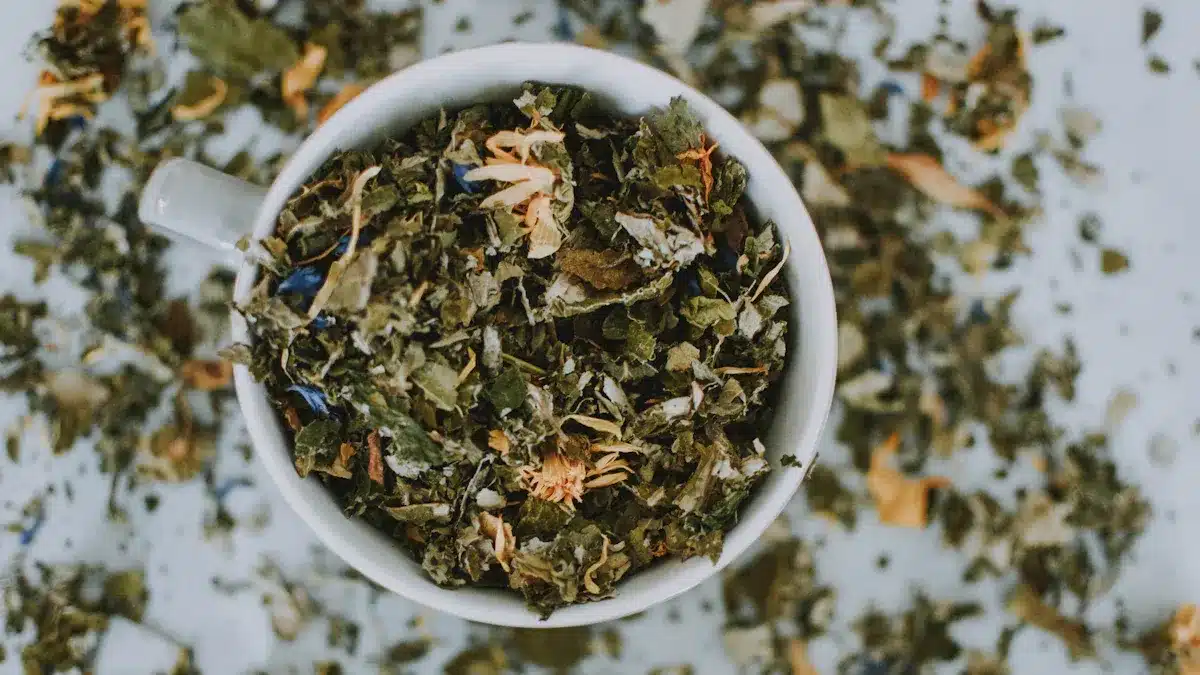 Immune System Boost: Herbal Solutions for Seasonal Protection and Recovery