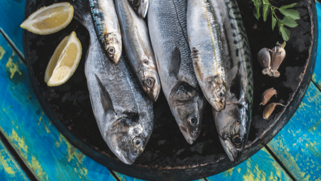 Fatty Fish immune boosting foods
