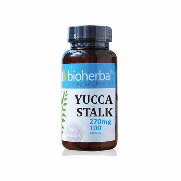 Yucca Plus Yucca x100 caps 270mg | Buy Online in UK | Natural Herbs Market