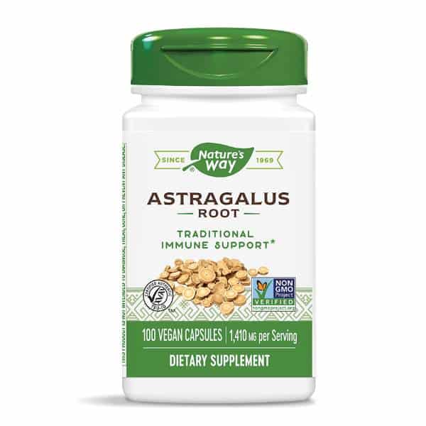 Astragalus Root 470 mg x 100