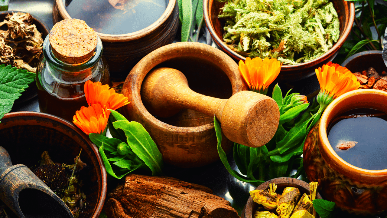 Ancient Natural Herbs