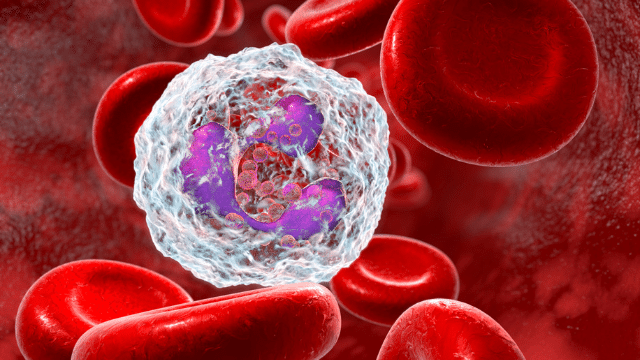 Immune system enhancement through beta-glucans