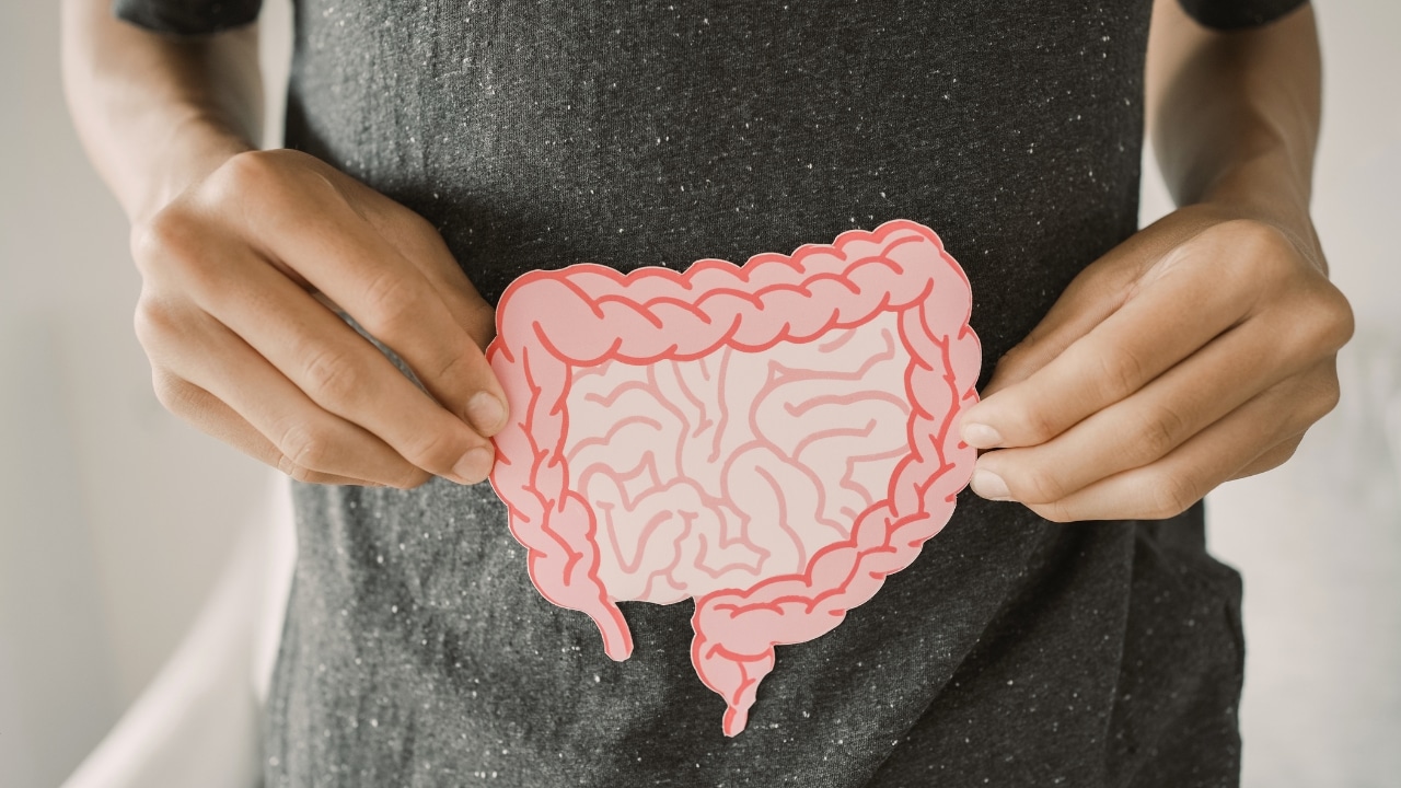 Gut health