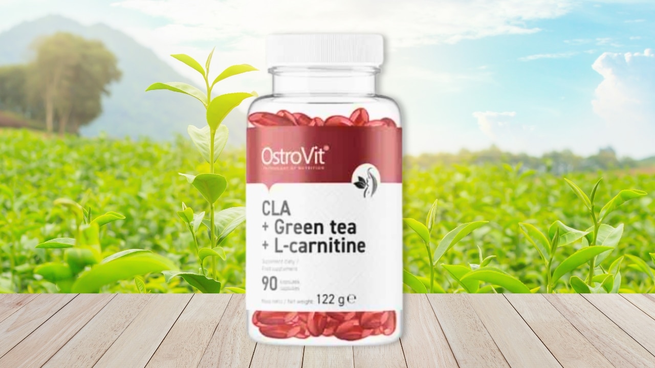 CLA Green Tea L-Carnitine