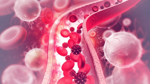 Better Blood Flow
