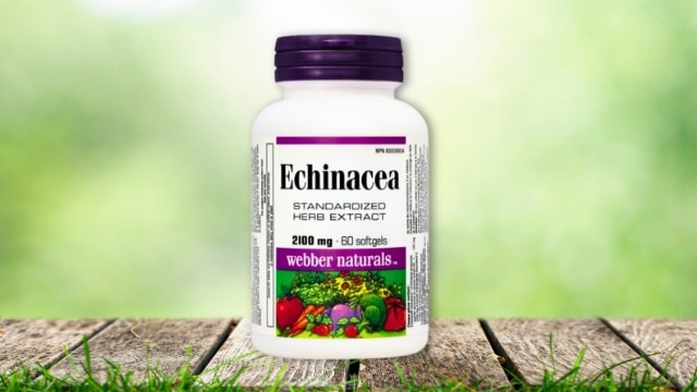 Revitalize Your Immune System with Echinacea Extract 60 Softgels