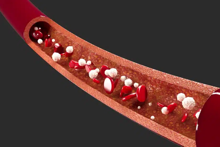Enhancing Blood Flow for Better Performance