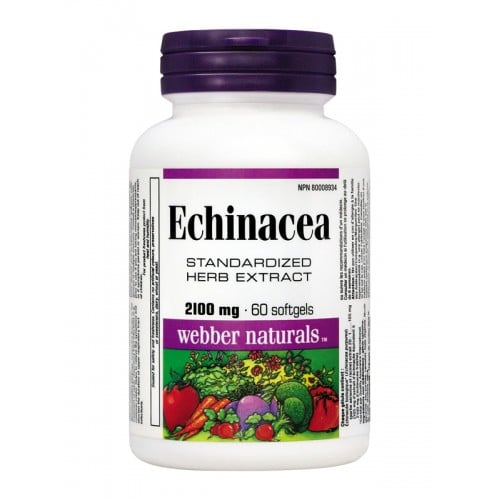 Echinacea Extract 60 Softgels